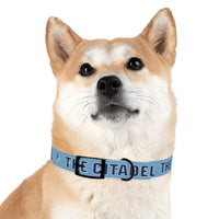 Load image into Gallery viewer, The Citadel, Spike, Dog Collar
