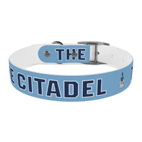 Load image into Gallery viewer, The Citadel, Spike, Dog Collar
