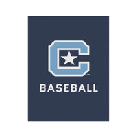 Load image into Gallery viewer, The Citadel, Block C, Sports - Baseball, Garden &amp; House Banner
