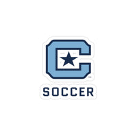 Load image into Gallery viewer, Transparent Outdoor Stickers, Die-Cut, 1pcs
