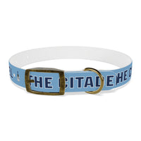 Load image into Gallery viewer, The Citadel, Spike, Dog Collar
