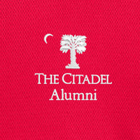 Load image into Gallery viewer, Big Red Palmetto Alumni Under Armour Men&#39;s Tech™ Polo- Red
