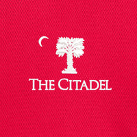 Load image into Gallery viewer, Big Red Palmetto Under Armour Ladies&#39; Tech™ Polo- Red
