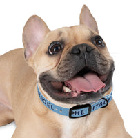 Load image into Gallery viewer, The Citadel, Spike, Dog Collar
