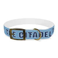 Load image into Gallery viewer, The Citadel, Spike, Dog Collar
