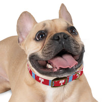 Load image into Gallery viewer, The Citadel, Big Red Dog Collar
