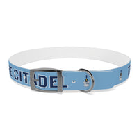 Load image into Gallery viewer, The Citadel, Spike, Dog Collar
