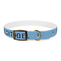 Load image into Gallery viewer, The Citadel, Spike, Dog Collar
