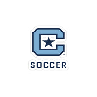 Load image into Gallery viewer, Transparent Outdoor Stickers, Die-Cut, 1pcs
