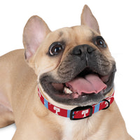 Load image into Gallery viewer, The Citadel, Big Red Dog Collar
