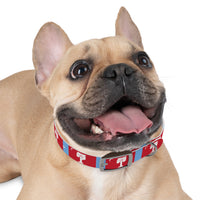 Load image into Gallery viewer, The Citadel, Big Red Dog Collar
