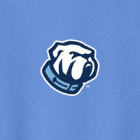 Load image into Gallery viewer, The Citadel, Bulldog, Youth Heavy Cotton™ 100% Cotton T-Shirt - Carolina Blue
