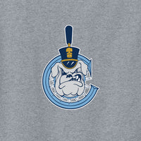 Load image into Gallery viewer, The Citadel, C Spike, Youth Heavy Cotton™ 100% Cotton T-Shirt - Gray
