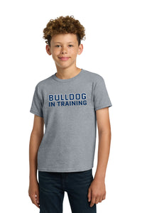 Load image into Gallery viewer, The Citadel, Bulldog In Training, Youth Heavy Cotton™ 100% Cotton T-Shirt - Gray
