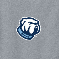 Load image into Gallery viewer, The Citadel, Bulldog, Youth Heavy Cotton™ 100% Cotton T-Shirt - Gray
