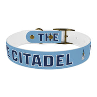 Load image into Gallery viewer, The Citadel, Spike, Dog Collar
