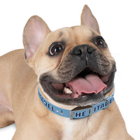 Load image into Gallery viewer, The Citadel, Spike, Dog Collar
