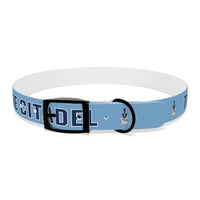 Load image into Gallery viewer, The Citadel, Spike, Dog Collar
