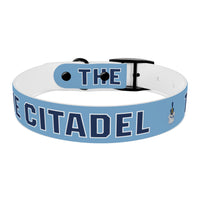 Load image into Gallery viewer, The Citadel, Spike, Dog Collar
