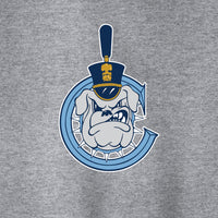 Load image into Gallery viewer, The Citadel, C Spike, Port &amp; Co™ Toddler Core Fleece Pullover Hooded Sweatshirt - Gray
