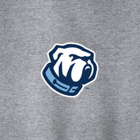 Load image into Gallery viewer, The Citadel, Bulldog, Port &amp; Co™ Toddler Core Fleece Pullover Hooded Sweatshirt - Gray
