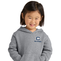 Load image into Gallery viewer, The Citadel, C Star, Port &amp; Co™ Toddler Core Fleece Pullover Hooded Sweatshirt - Gray
