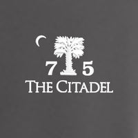 Load image into Gallery viewer, The Citadel, Customizable (Your Year), Port Authority® Core Soft Shell Vest - Grey

