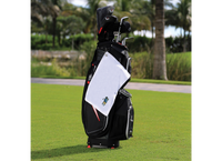 Load image into Gallery viewer, The Citadel, Spike The Golfer Logo, Port Authority ® Grommeted Hemmed Towel 
