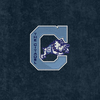 Load image into Gallery viewer, The Citadel, Jumping Bulldog, Port Authority® Grommeted Golf Towel - Navy
