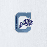 Load image into Gallery viewer, The Citadel, Jumping Bulldog, Port Authority® Grommeted Tri-Fold Golf Towel_White
