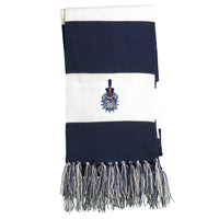 Load image into Gallery viewer, The Citadel, Spike logo Scarf- Navy/white
