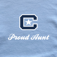 Load image into Gallery viewer, The Citadel Block C Star logo, Proud Aunt,  Heavy Blend™ Hooded Sweatshirt
