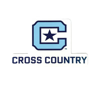 Load image into Gallery viewer, The Citadel, Cross Country Sticker
