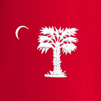 Load image into Gallery viewer, Big Reg Palmetto Ladies Performance Polo-True Red
