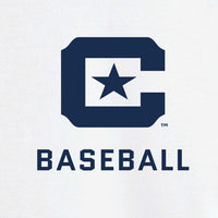 Load image into Gallery viewer, Baseball Colorblock Raglan Jersey
